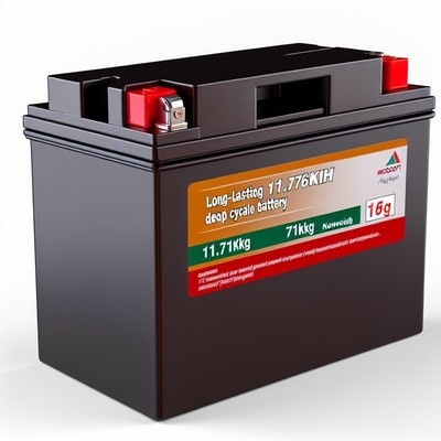 좋은 가격 51.2V 230Ah 골프 카트 LiFePO4 배터리 스마트 BMS 11.8kWh 온라인으로